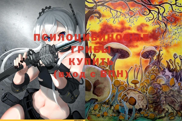 бошки Алексеевка