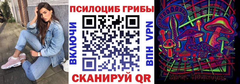 где найти наркотики  Петушки  Псилоцибиновые грибы Cubensis 
